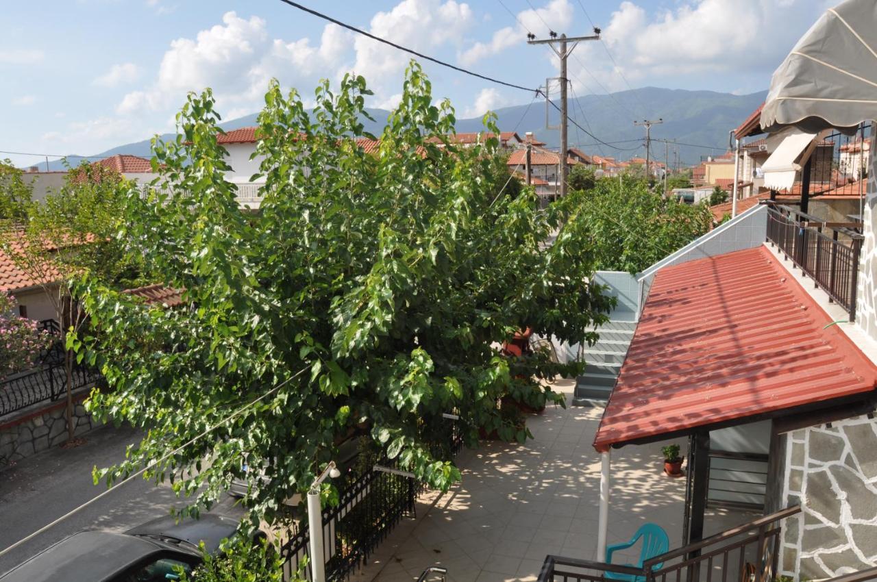 Villa Sofia เนอาวรัสนา ภายนอก รูปภาพ